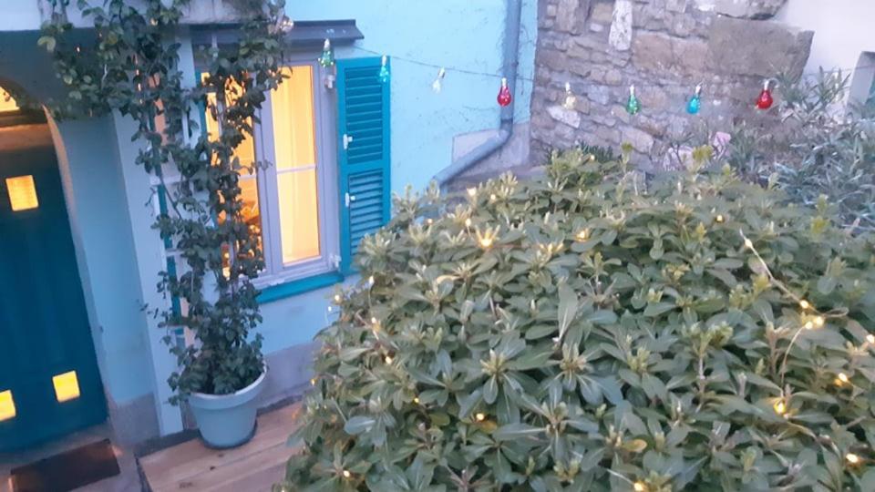 Little Garden Apartman Piran Kültér fotó