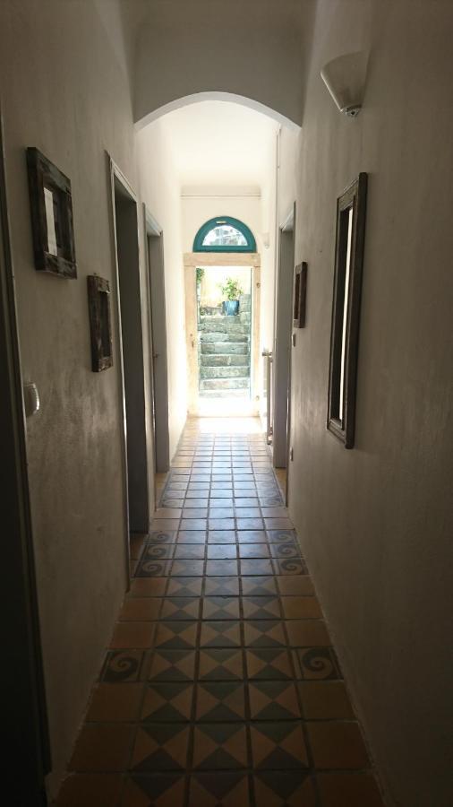 Little Garden Apartman Piran Kültér fotó