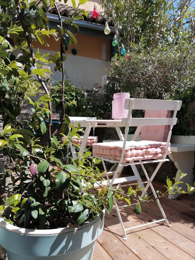 Little Garden Apartman Piran Kültér fotó